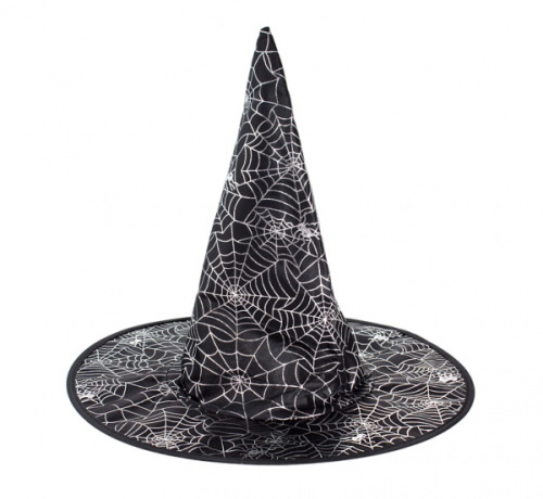 Hat Witch in spider web