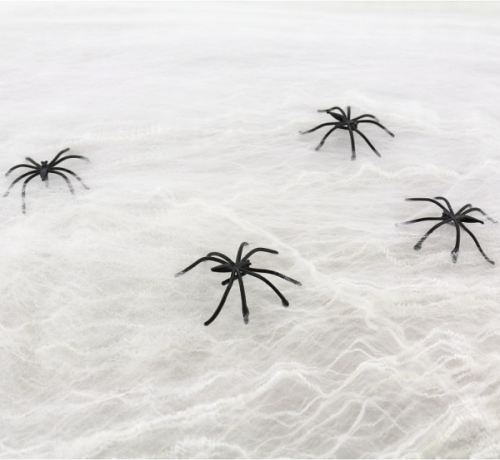 Spiderweb, white Spiderweb, white