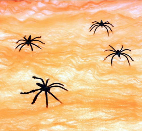 Spider web
