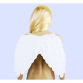 Satin wings, white, 45x39cm