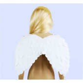 Satin wings, white, 51x39cm
