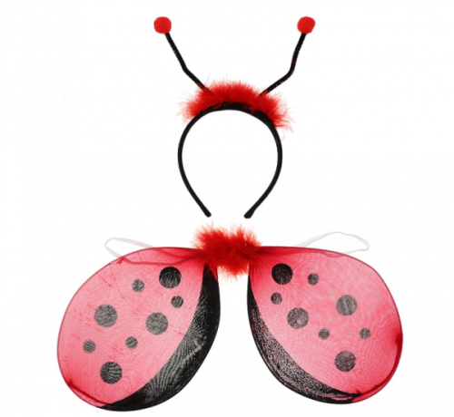 Set for children Ladybird (wings, headband)