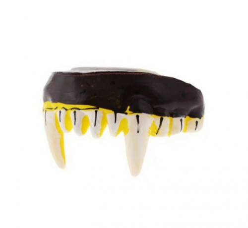 Werewolf teeth
