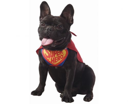 Dog costume Super Hero, one size