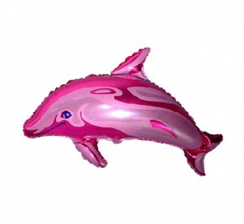 Foil balloon 24